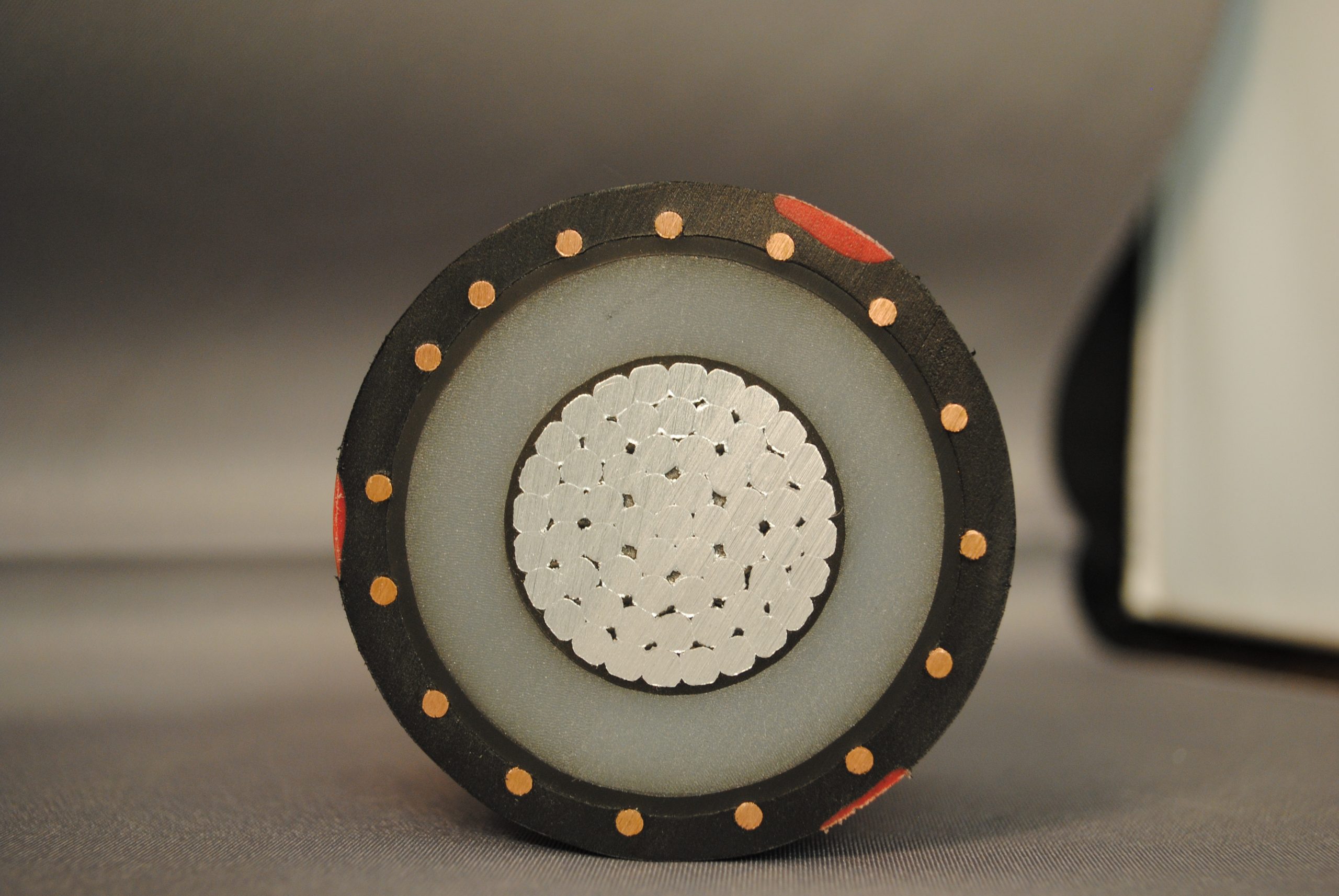 Smarter Than Replacement: Proactive Cable Assessment as a Capital Strategy